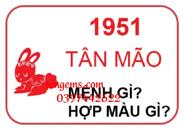 Sinh năm 1951 mệnh gì?