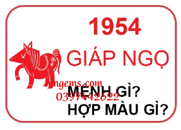 Sinh năm 1954 mệnh gì?