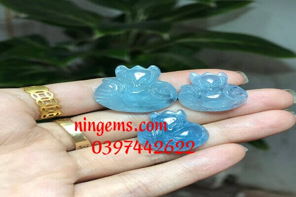 Hồ ly đá Aquamarine