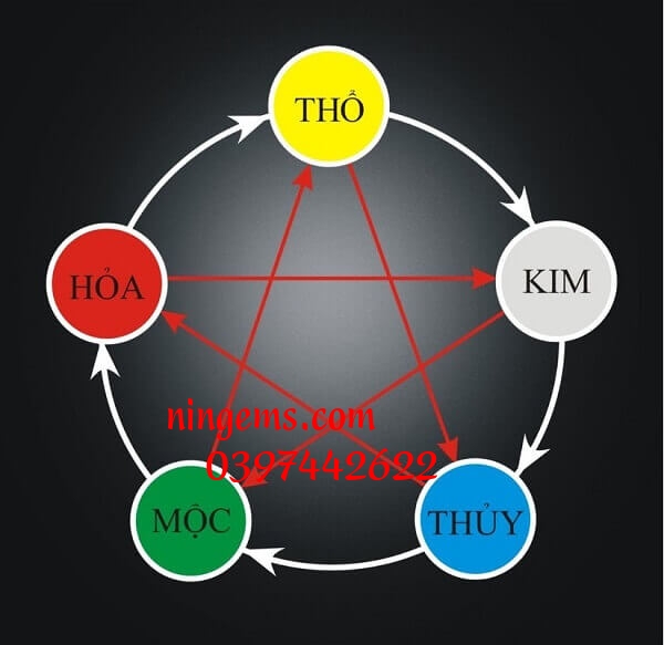 Những người sinh năm 1988 thuộc mệnh mộc trong ngũ hành