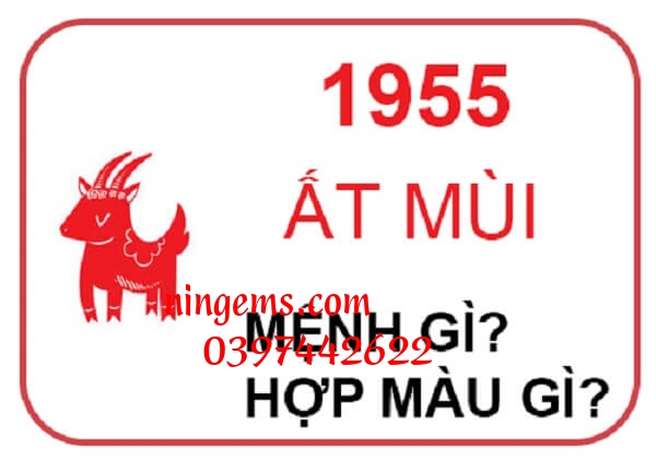 Sinh năm 1955 mệnh gì?