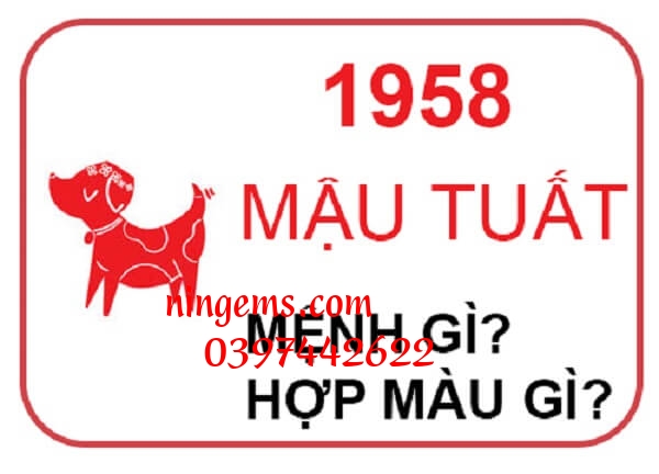 Sinh năm 1958 mệnh gì?