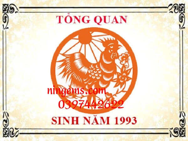 Sinh năm 1993 mệnh gì?